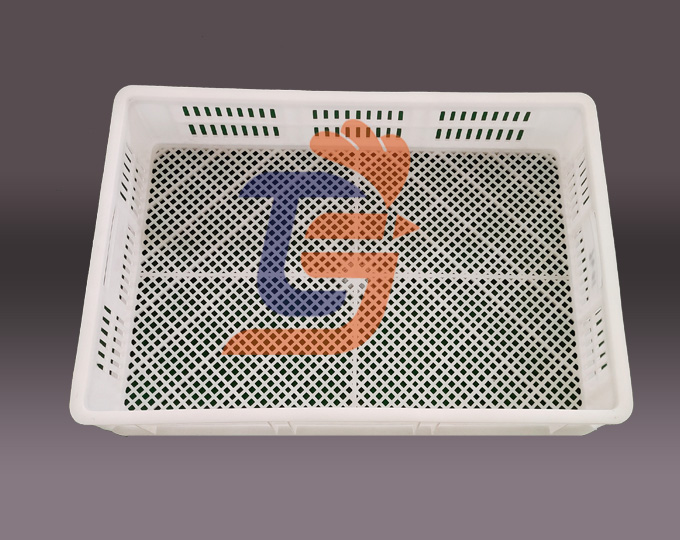 食品級(jí)塑料凍盤(pán)